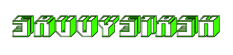 SavvyStash