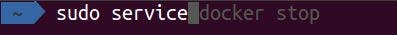 oh my zsh autosuggestions