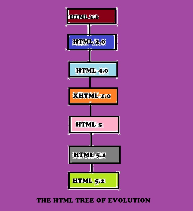 HTML TREE.jpg