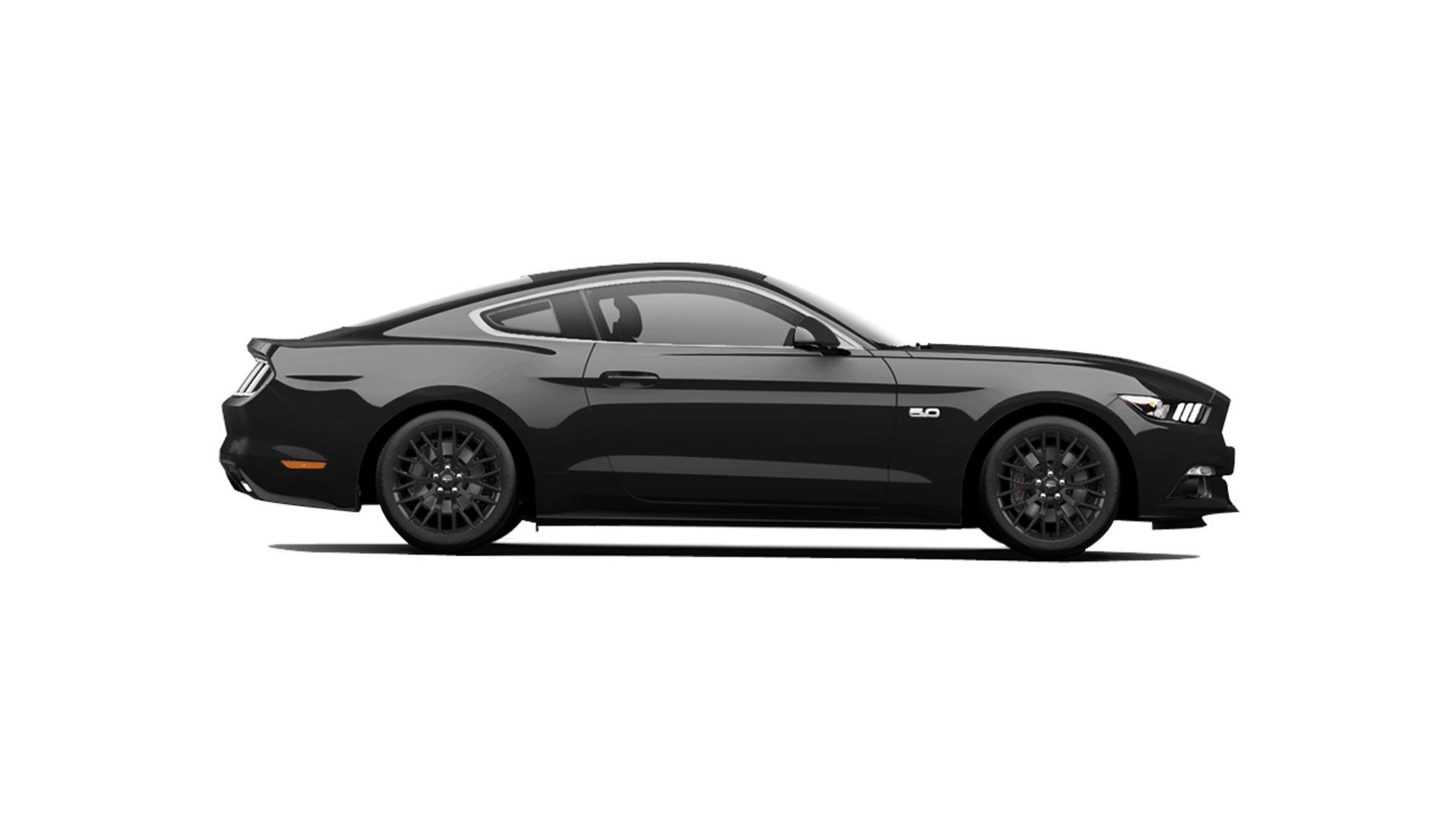 mustang.jpeg