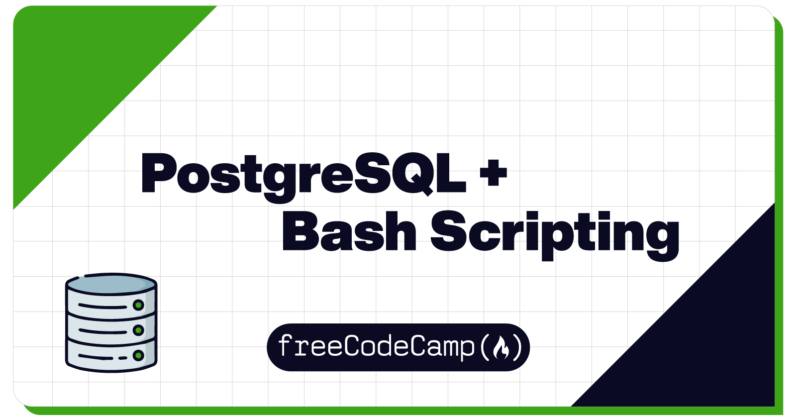 Learn SQL By Building A Student Database