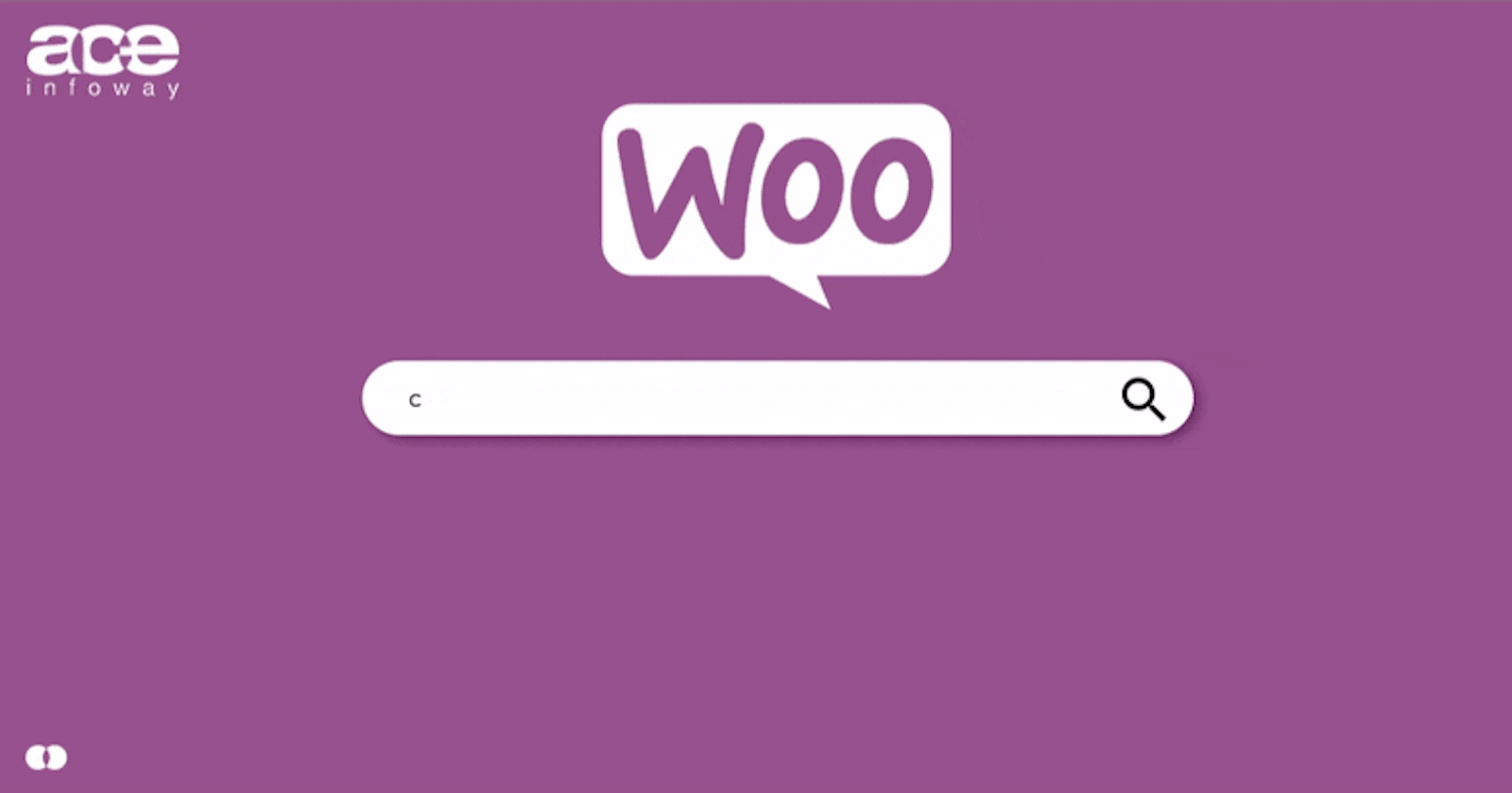 How the hell can I optimize the WooCommerce store for better SEO?