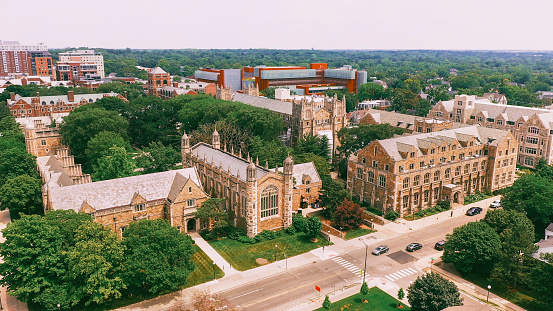 Self-Taught, Boot Camp, or University