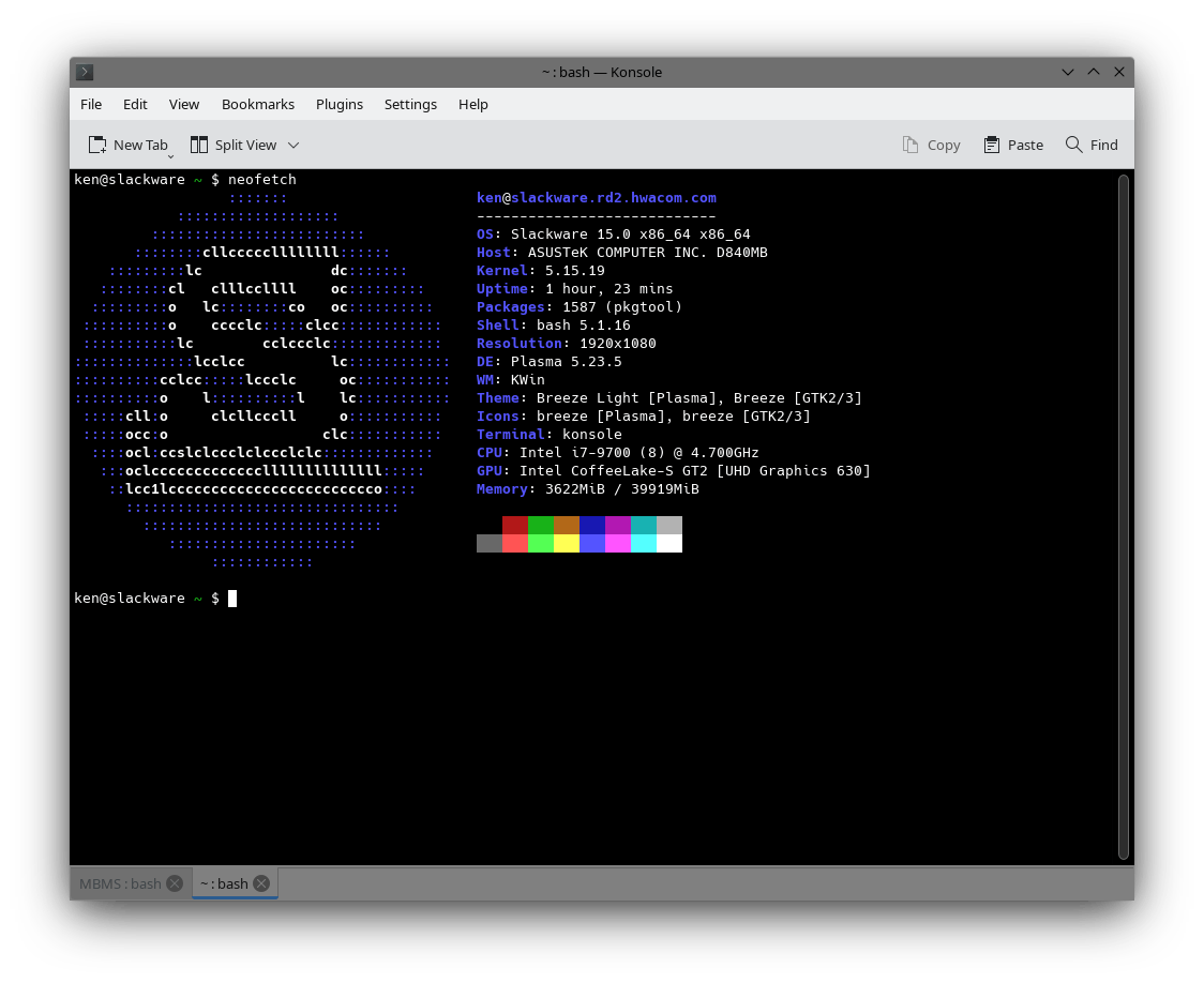 slackware-neofetch.png