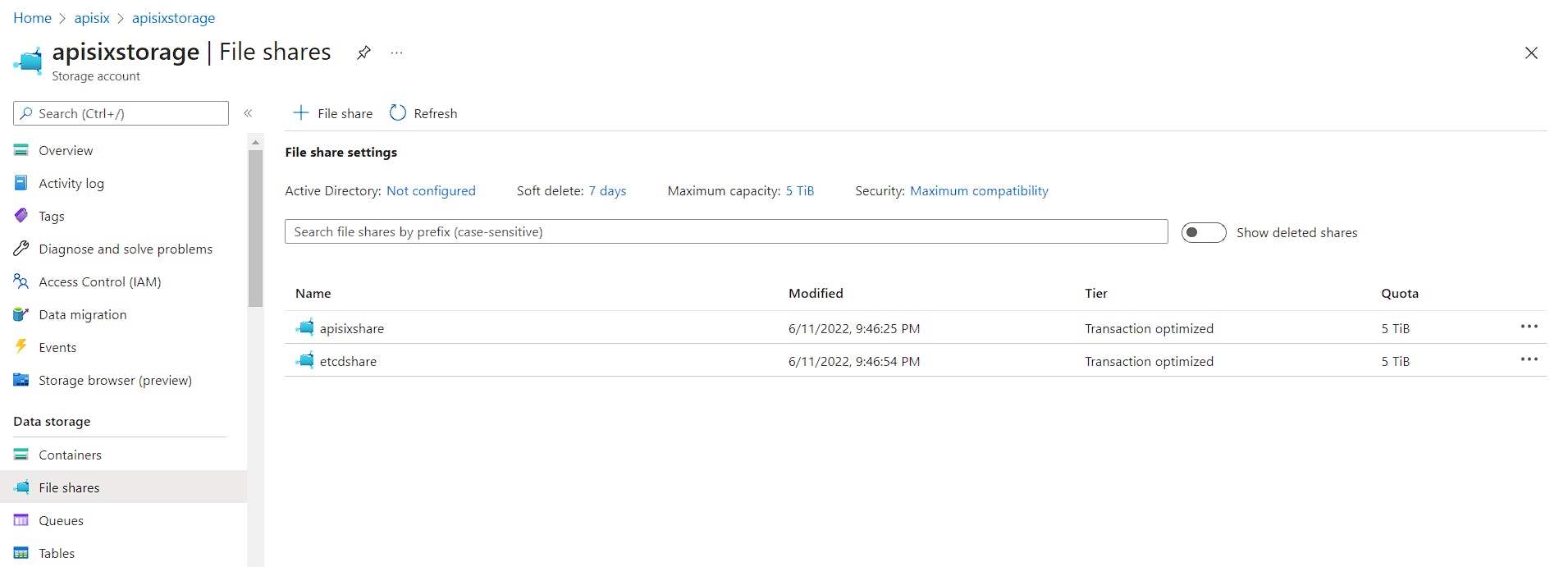 Storage with 2 file shares