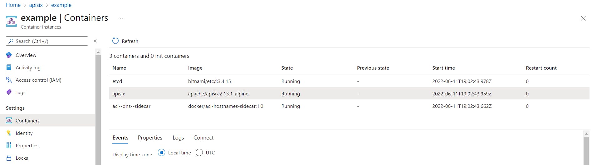 Apisix container instances