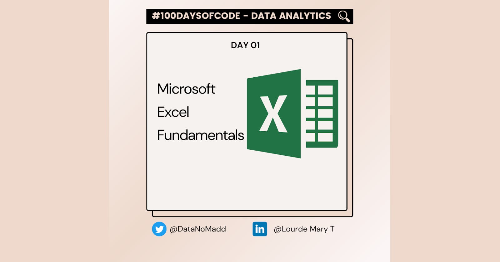Day 01  of 100 Days Of Code in Data Analytics : Microsoft Excel Fundamentals