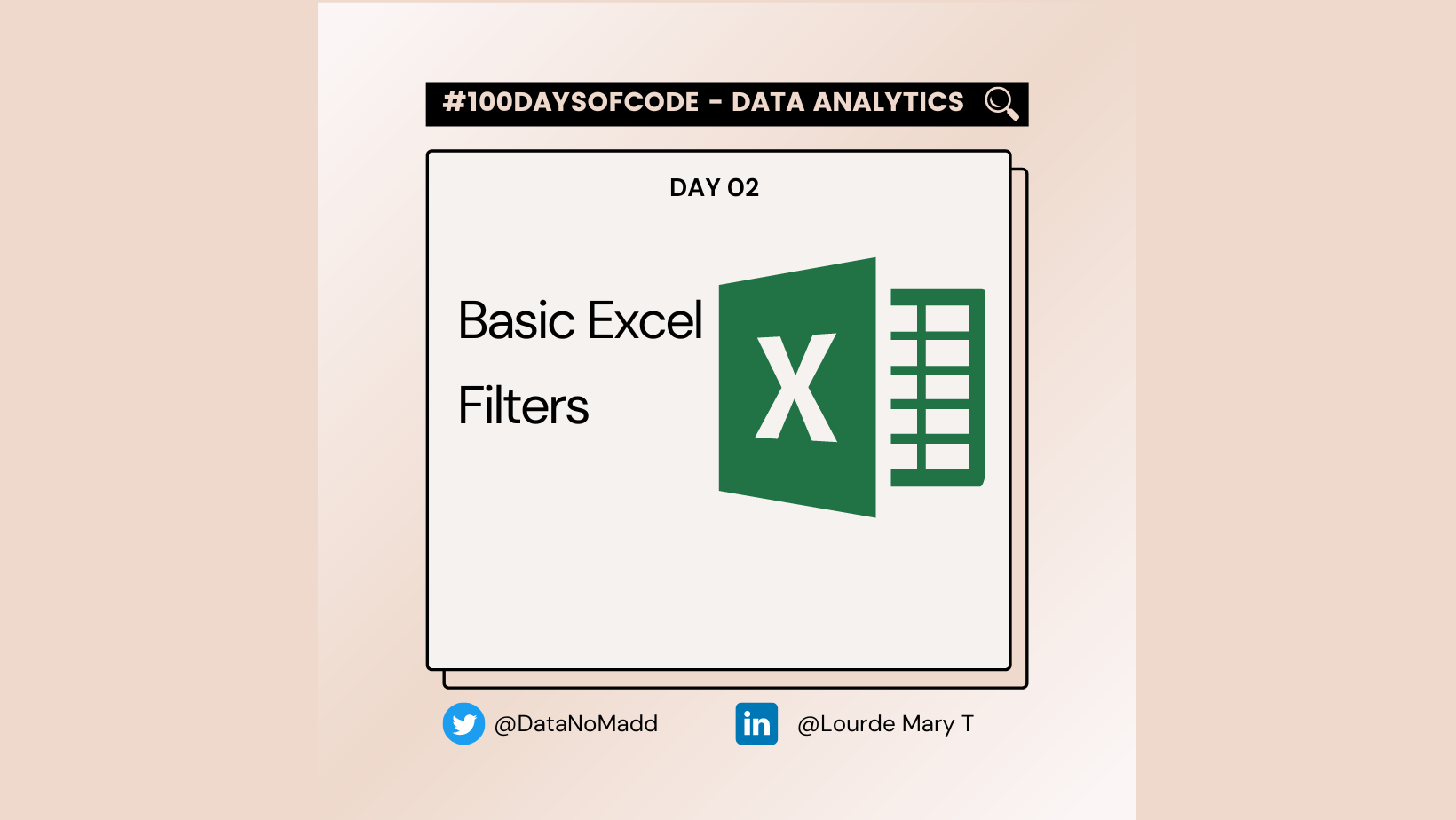 Day 02 of 100 Days Of Code in Data Analytics : Basic Excel Filter