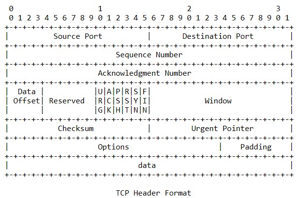 tcp-header-format.jpg