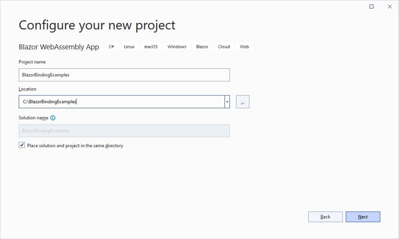 Screenshot of Visual Studio New Project Wizard Configure your new project page
