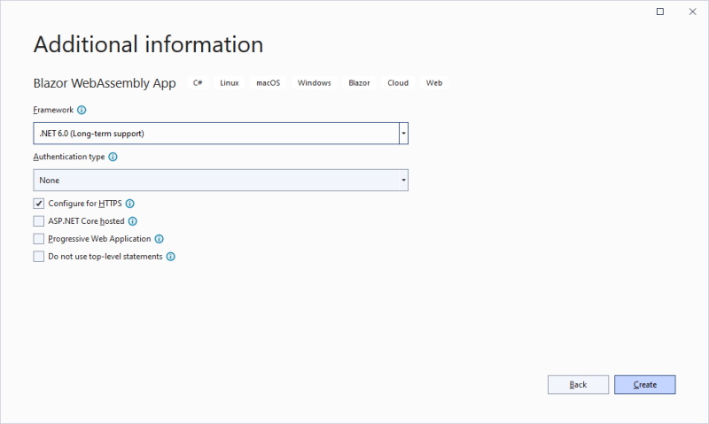 Screenshot of Visual Studio New Project Wizard Additional information page