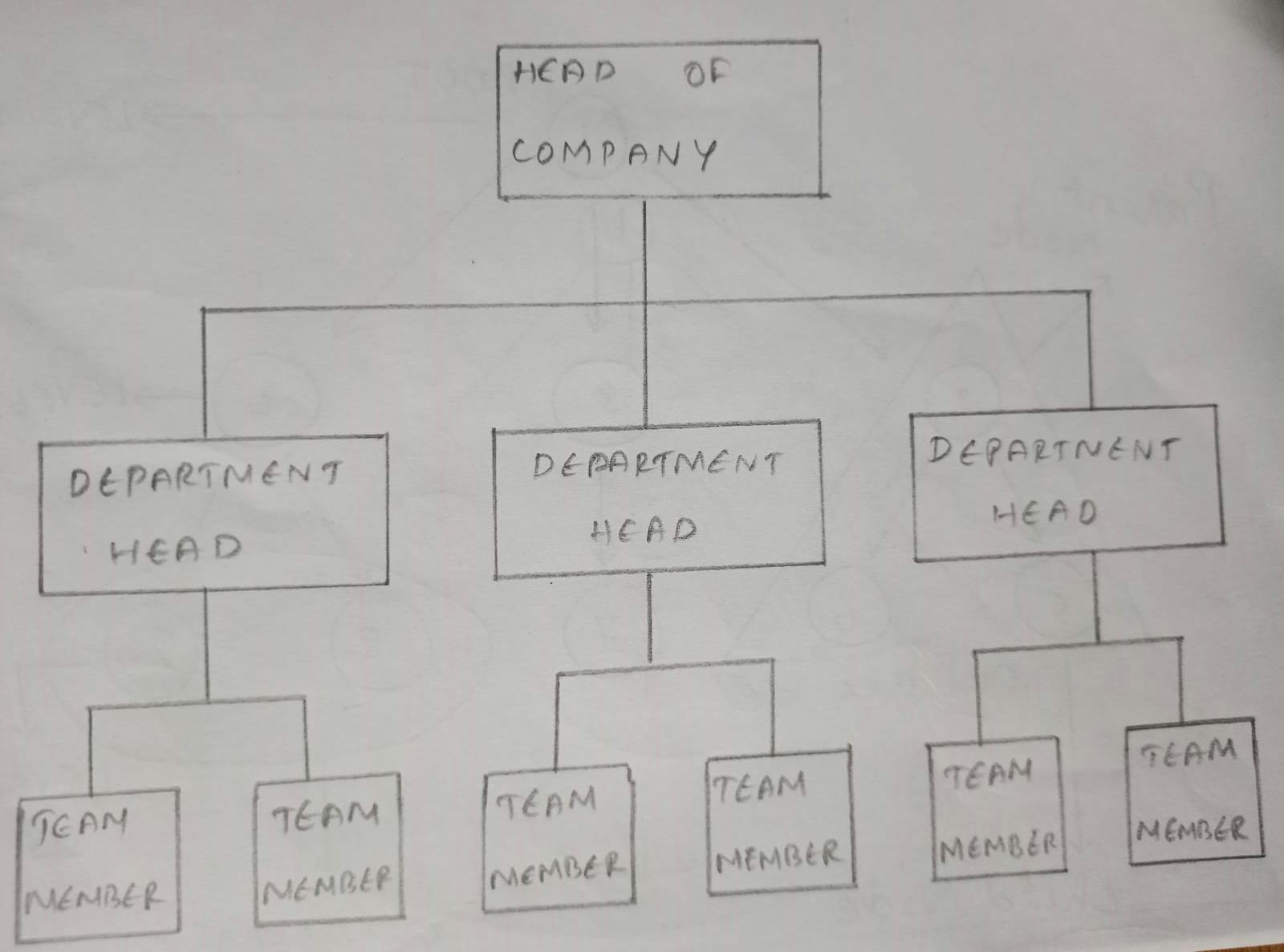 Company_hierarchy.jpeg