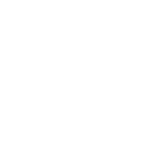 redsoft || blog