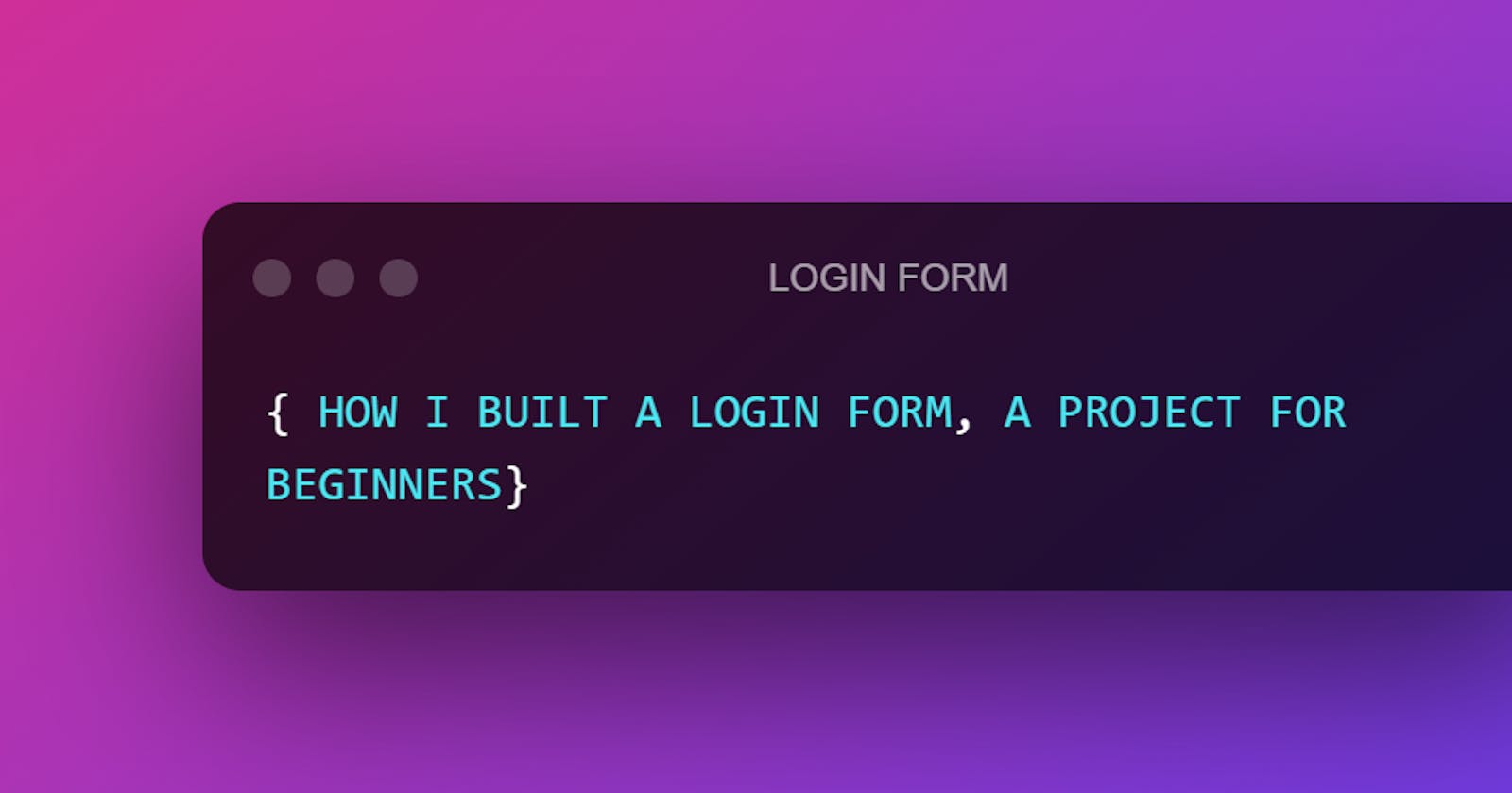 A LOGIN FORM: A Project For Beginners...