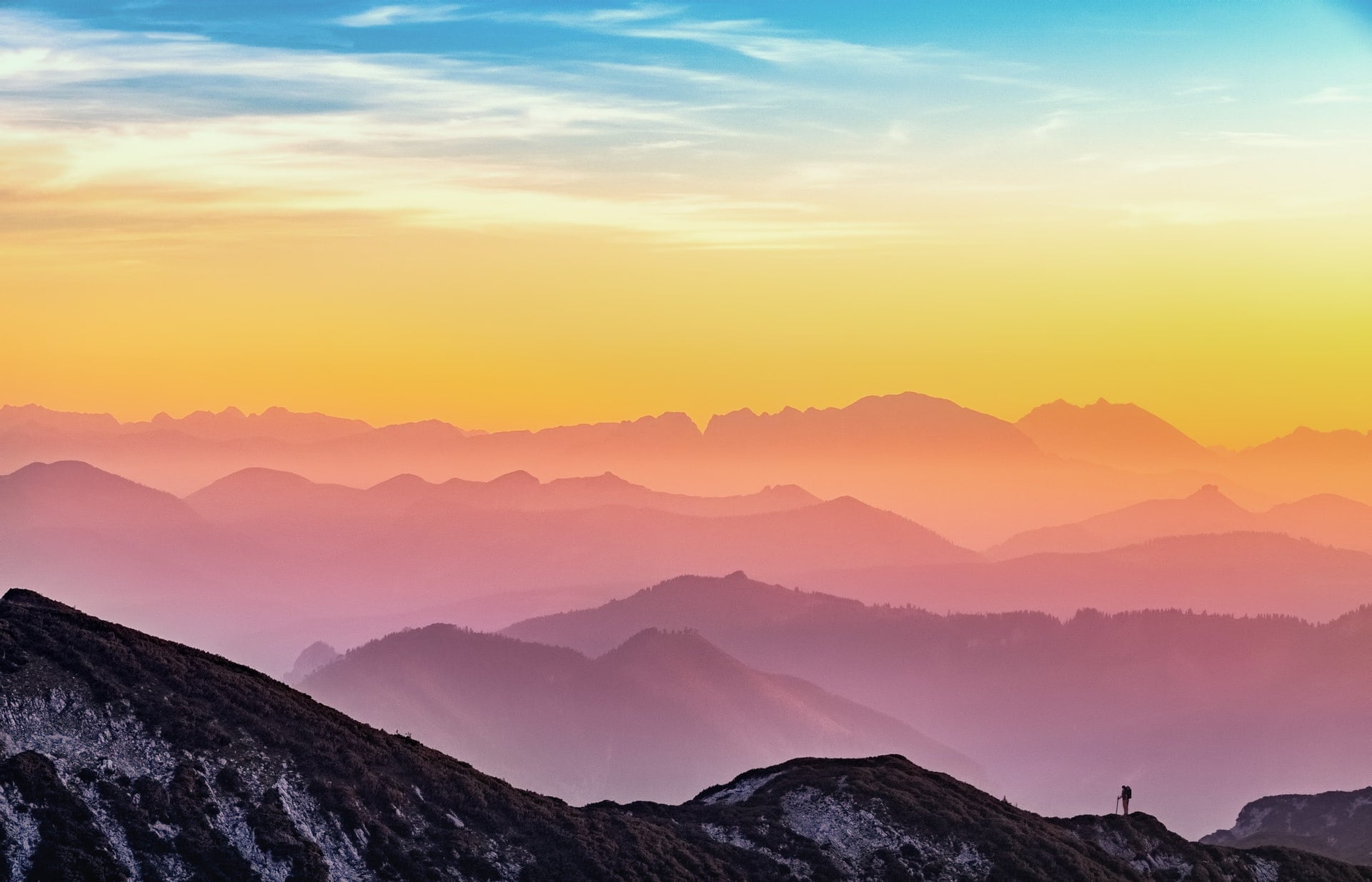 A quick look at Vue.js directives and how to use them