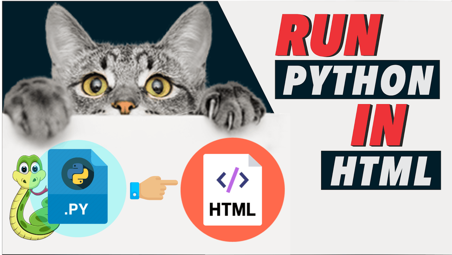 🔴 Build Web Apps with Python code in Your HTML