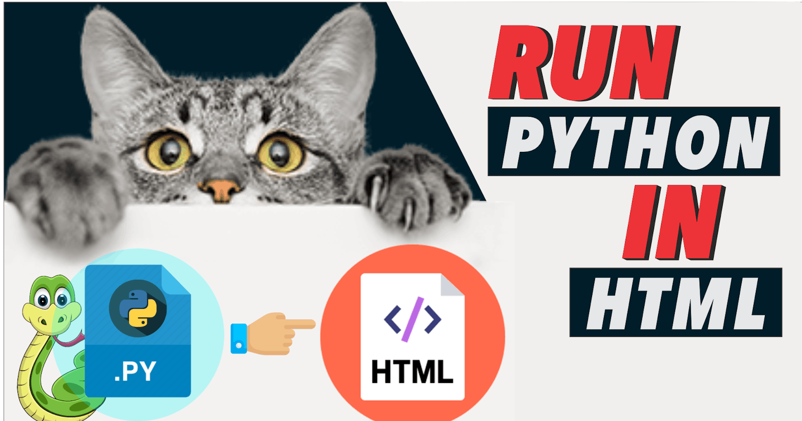 🔴 Build Web Apps with Python code in Your HTML