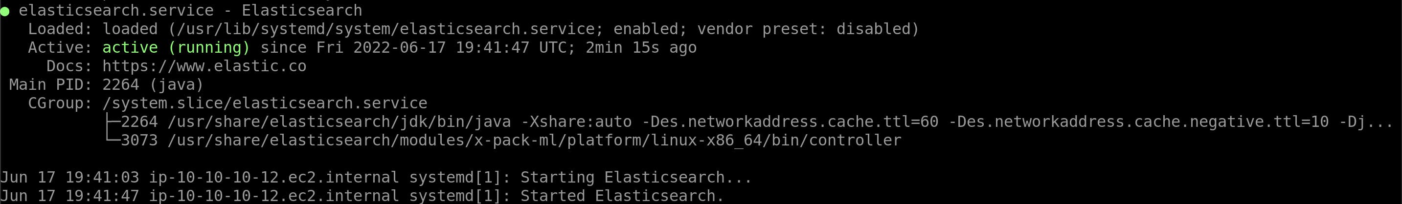 Elasticsearch service running