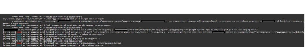 Screenshot: Run Cloud-Nuke through AWS CLI