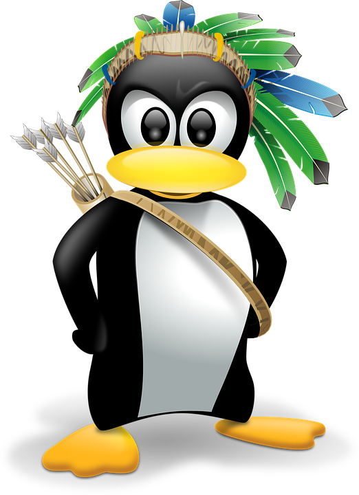 Basic Introduction to Linux Operating System