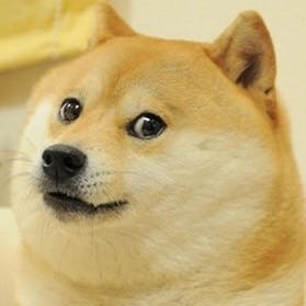 doge-meme.jpg