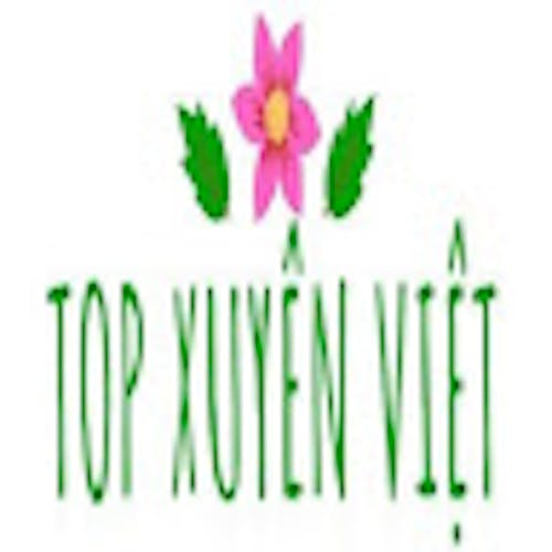 Top Xuyên Việt's blog
