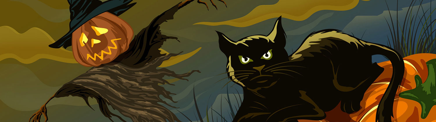 Scary Halloween Cat