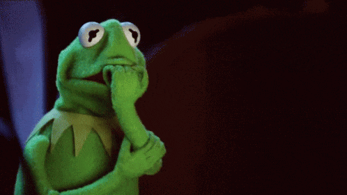 the-muppets-kermit-the-frog.gif
