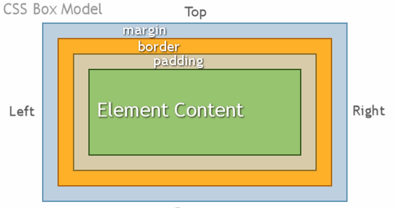 The CSS Box Model(Beginners).