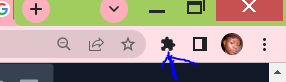 extension-icon.PNG