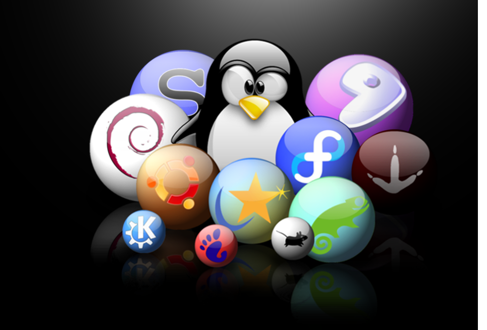Linux - Terminal, Shell, PWD, Flags, ls, man commands