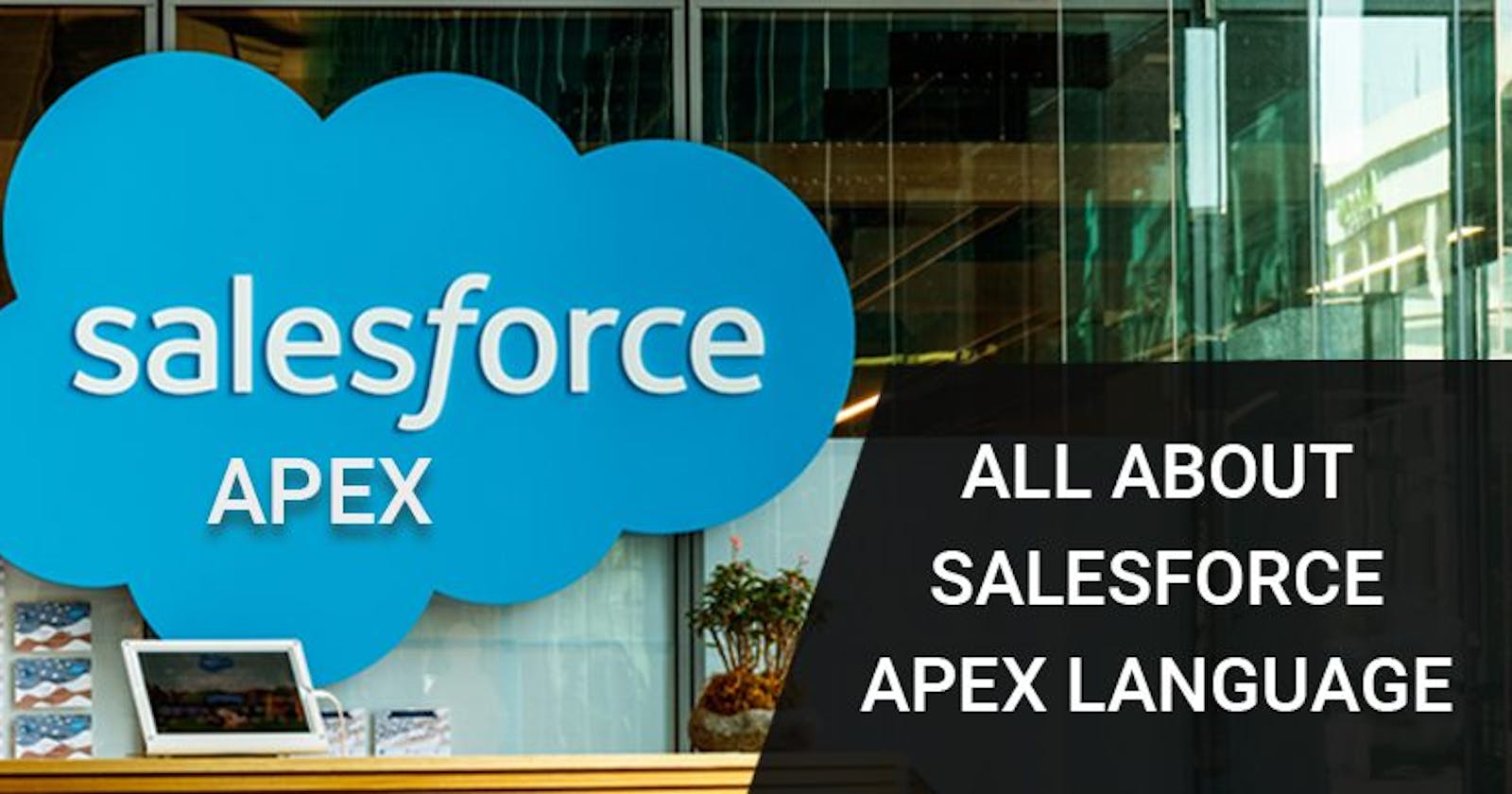 Salesforce Apex Language