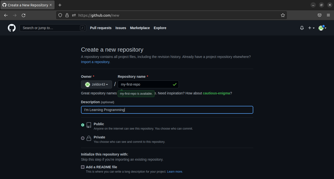 github_repo_options.png