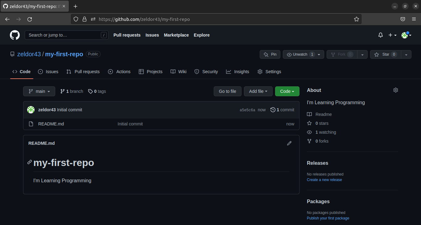 github_repo_created_with_readme.png