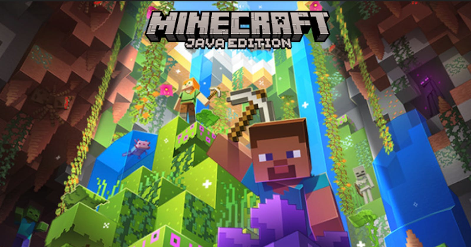 How to play Minecraft Java Edition for free?