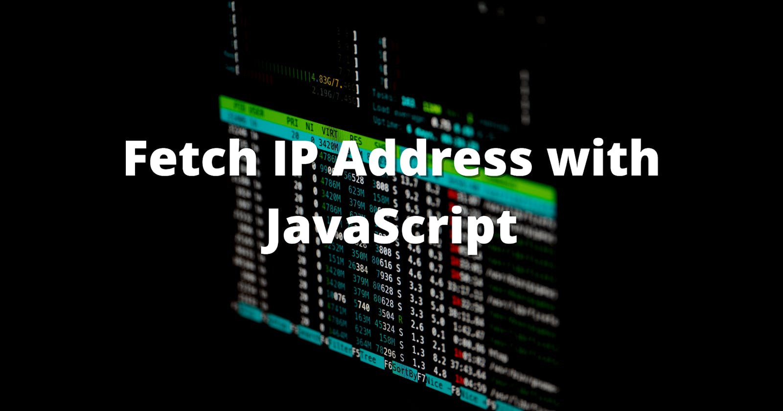Fetch IP Address with JS using Fetch Function