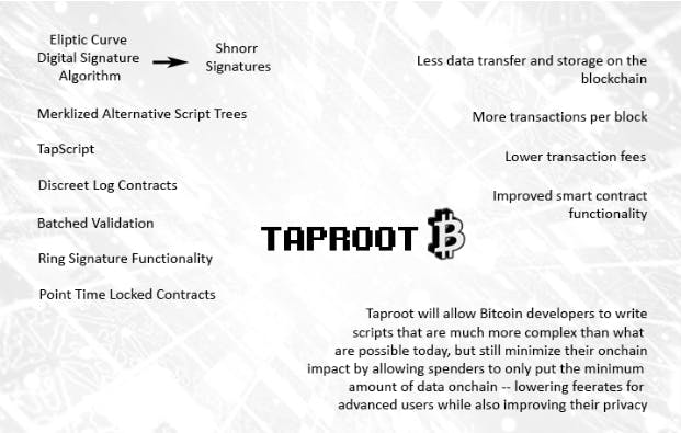 Taproot-A-blessing-in-Disguise-Google-Docs (1).png