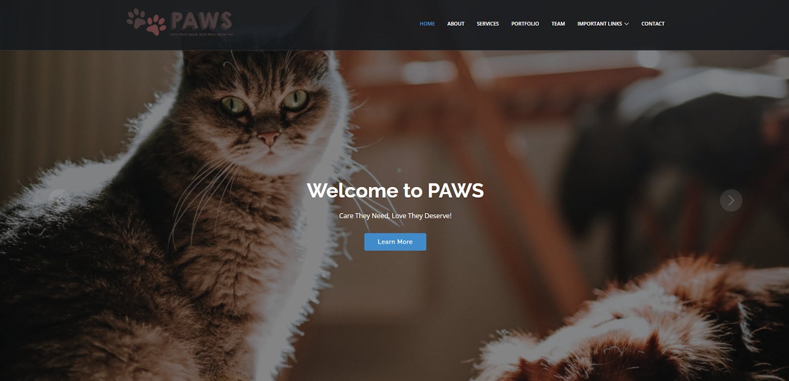 PAWS: System Design and Analytical View