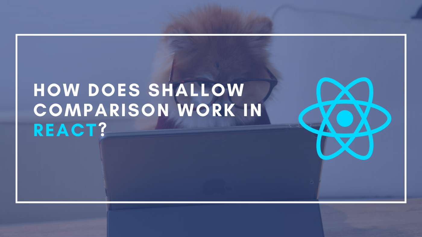 Shallow Comparison(Primitive Values)