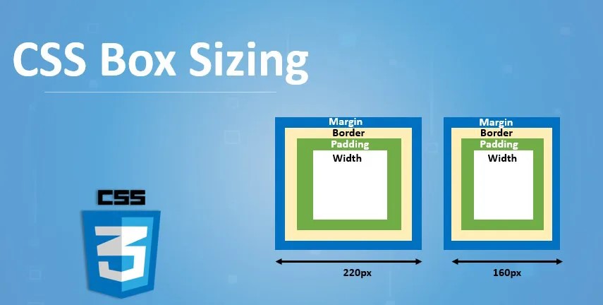 Css Box Sizing