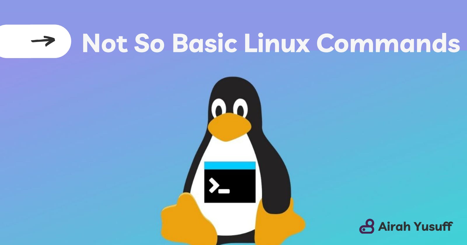 The Not-So-Basic Linux Commands I Have Learnt So Far