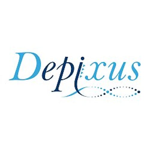 About Us - Depixus