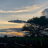 Phani Sai