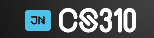 CS310