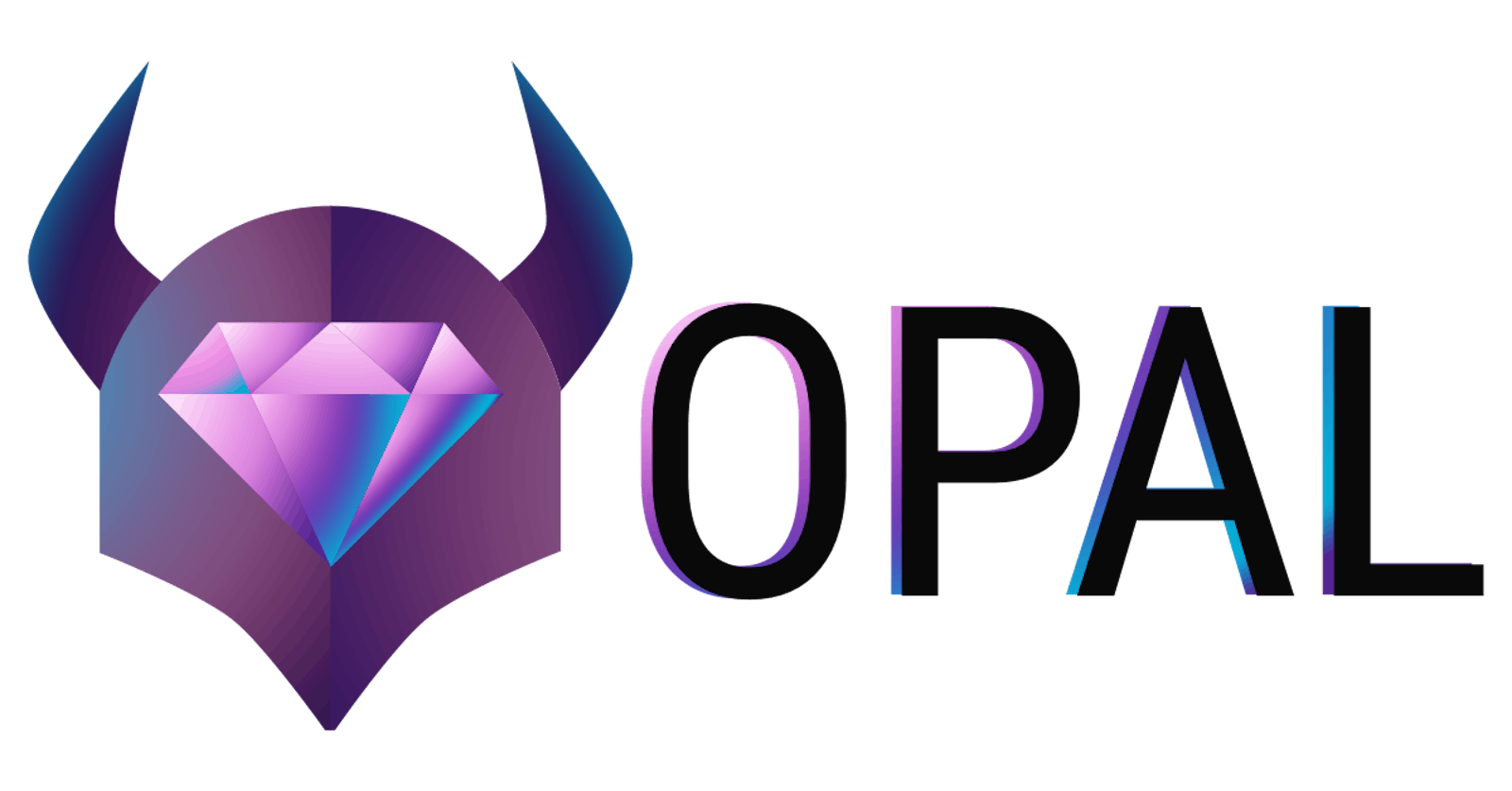 Introduction to OPAL.