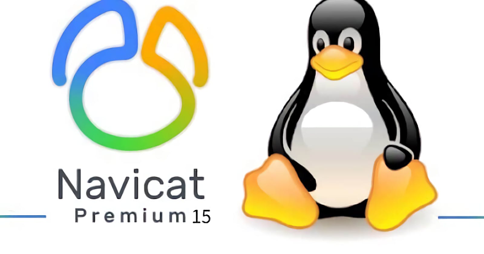 Linux(Ubuntu 18.04)安装破解官方最新版Navicat 15创建快捷启动菜单