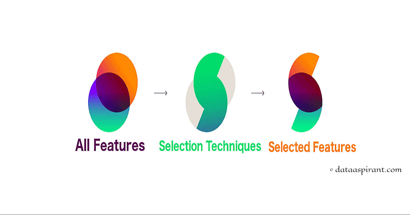 Feature Selection (Weeding out Noise from Data)