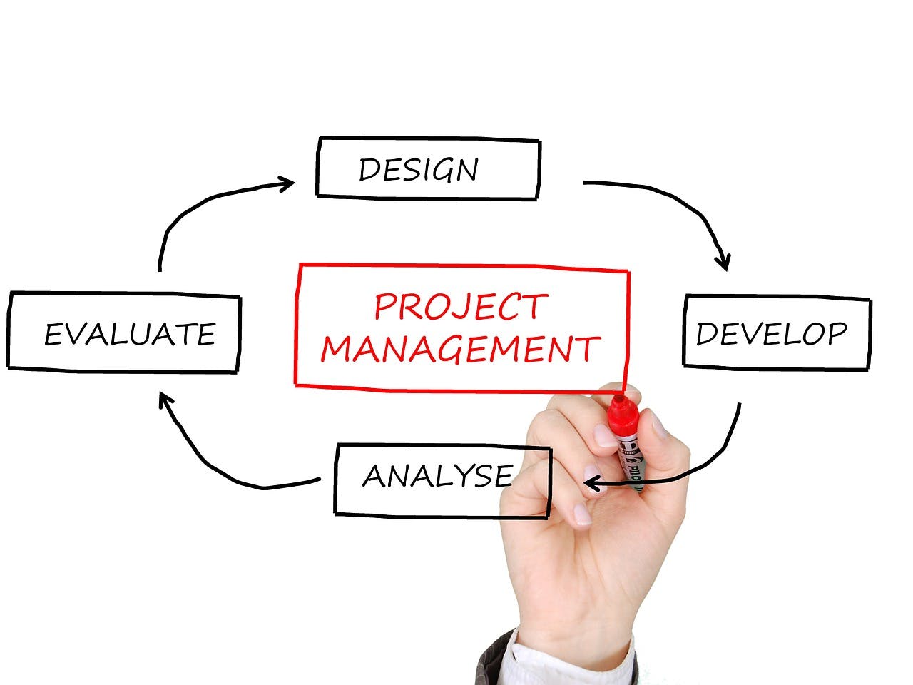 project-management-2061635_1280.jpg