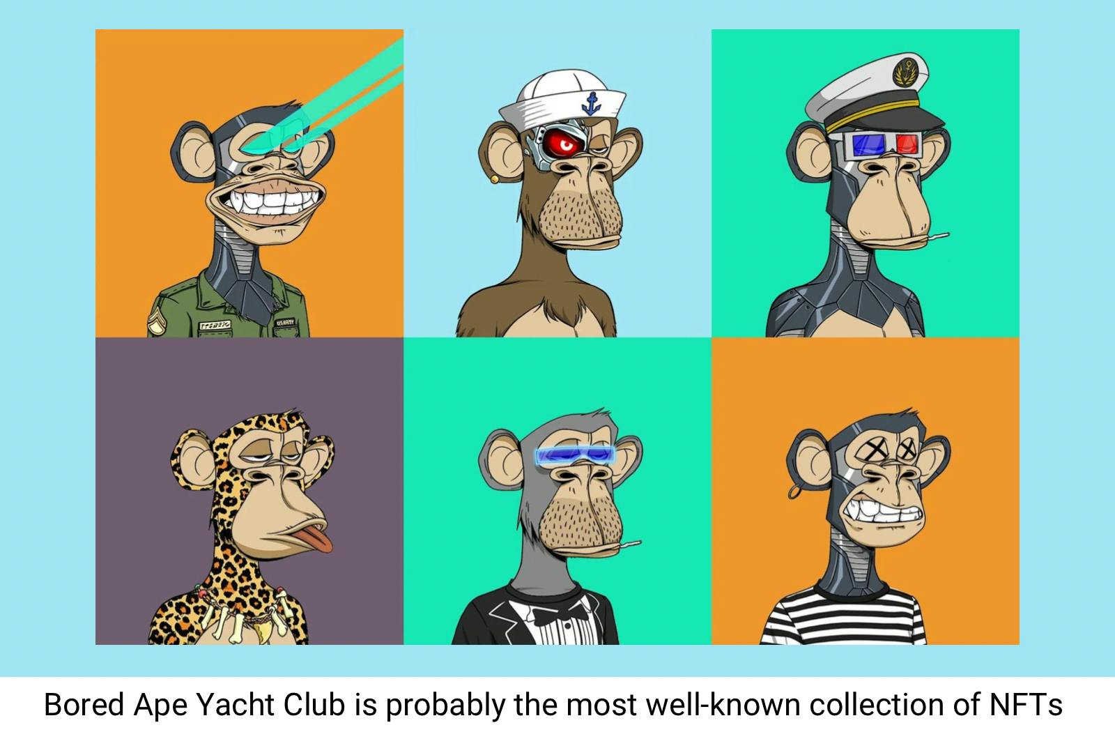 Bored Ape Yacht Club NFTs
