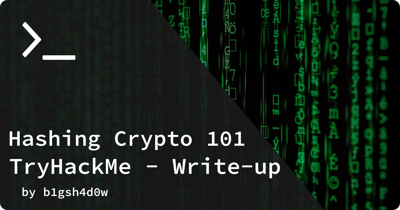 hashing-crypto-101-tryhackme-write-up